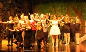 Niederdeutsches Theater Delmenhorst | Niederdeutsches Theater Delmenhorst |