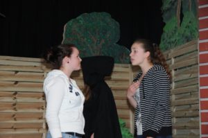 Niederdeutsches Theater Delmenhorst | Niederdeutsches Theater Delmenhorst |